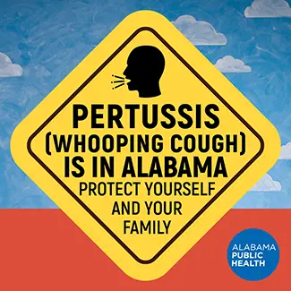 Pertussis Graphic