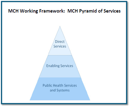 MCH Working Framework: MCH Pyramid of Services