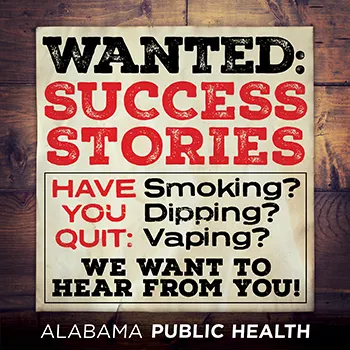 Success Stories - Wanted 2