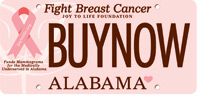 Joy to Life Fight Breast Cancer Car Tag