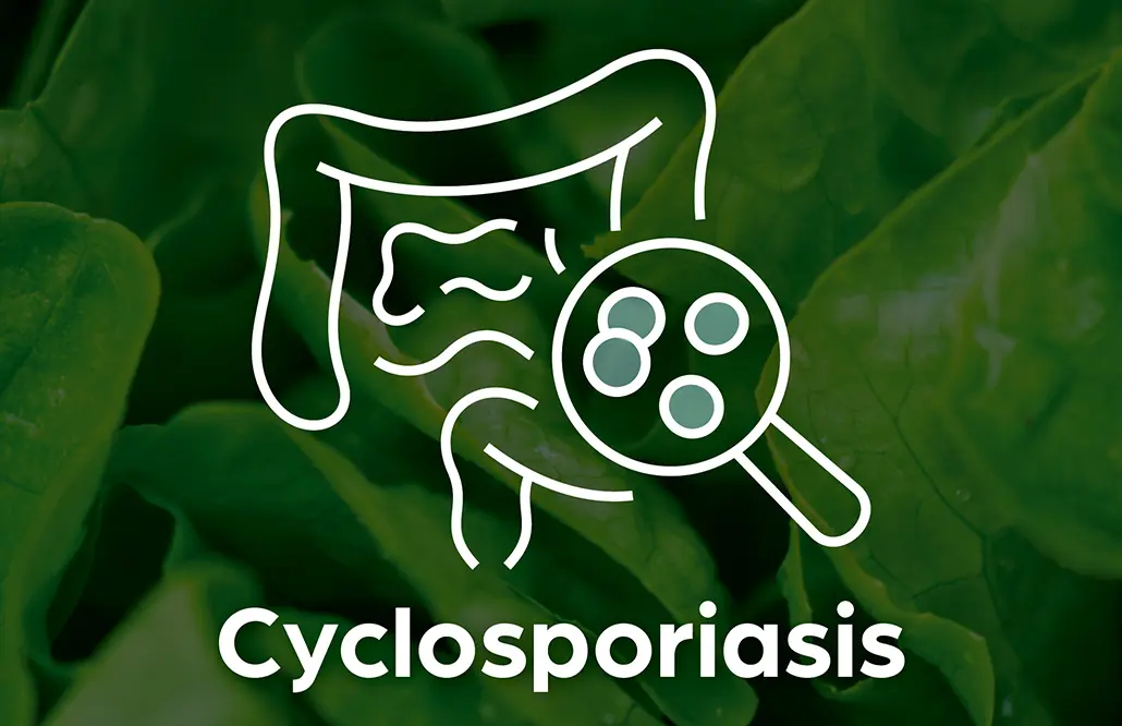 Illustration representing the cyclosporiasis disease