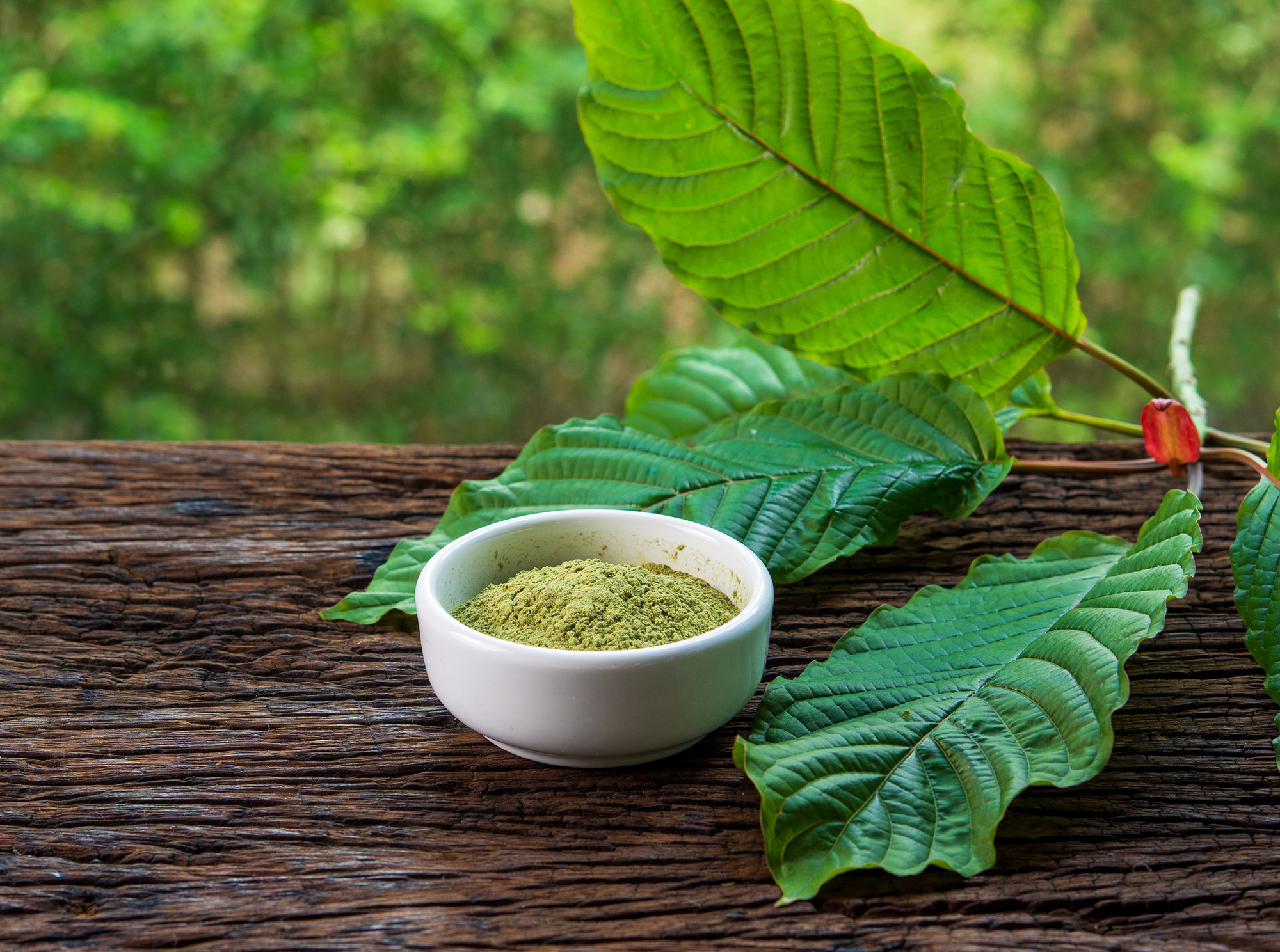 Kratom leaves and powder