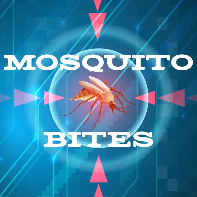 Image of a mosquito. Text says Mosquito Bites.