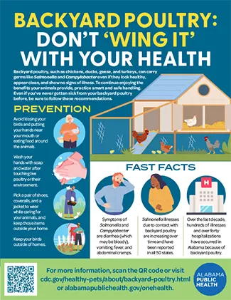 image of the One Health Backyard Poultry flyer
