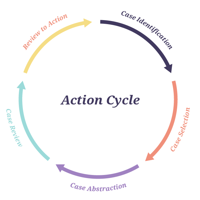 Action Cycle